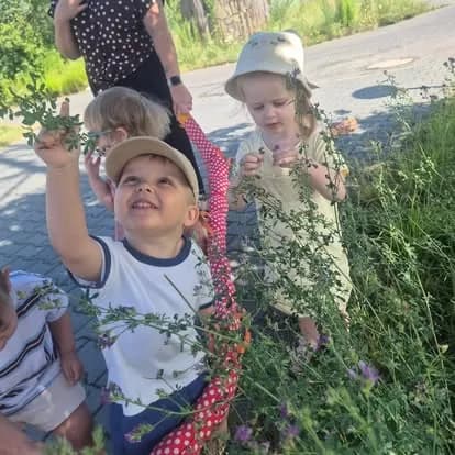 Nasze spacery - Żłobek Junior w Częstochowie (zdjęcie 11)